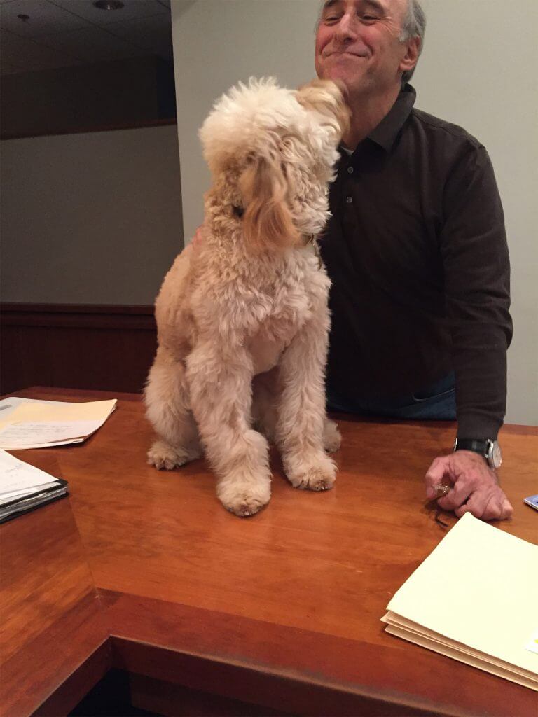 Meet The Team Mark P. Solomon MD